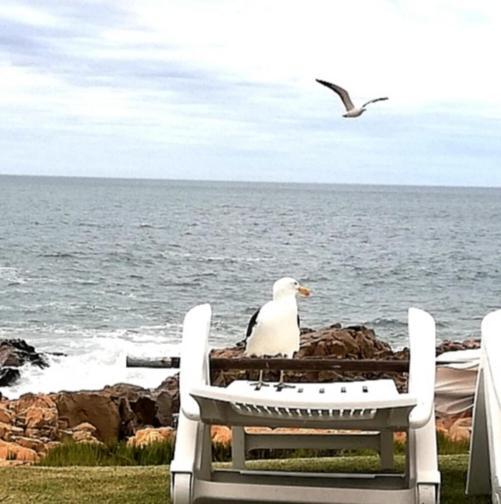 Beacon Island Resort Plettenberg Bay Bagian luar foto